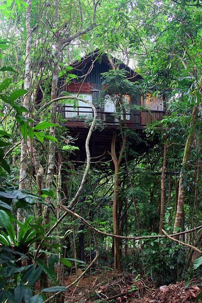 Khao Sok Tree House 41/50