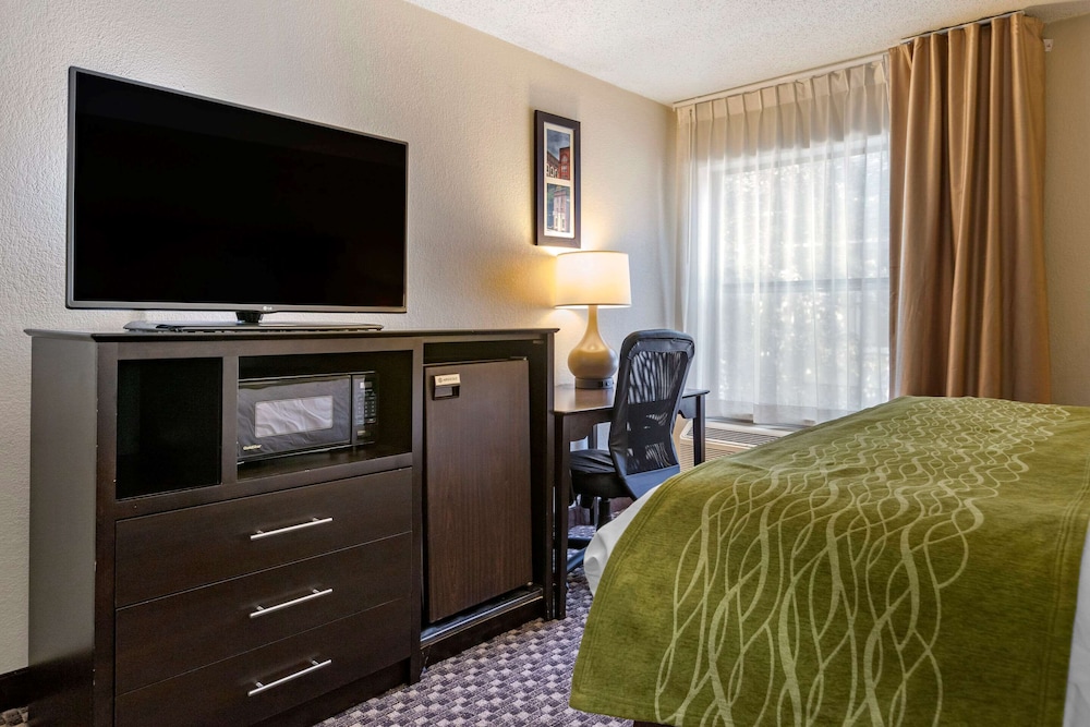 Comfort Inn Wings Stadium 15/29