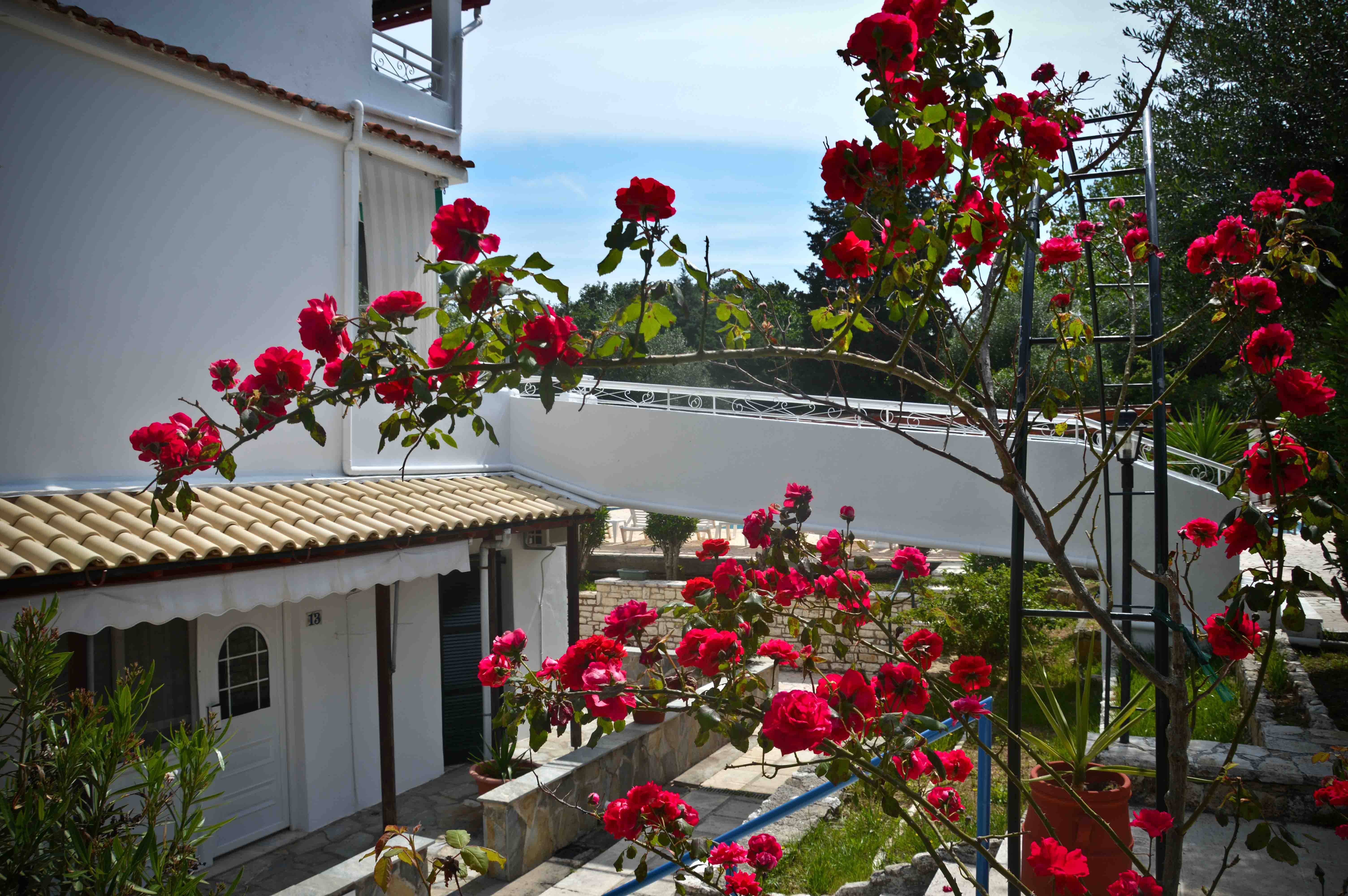 KATIA APARTMENTS 3/46