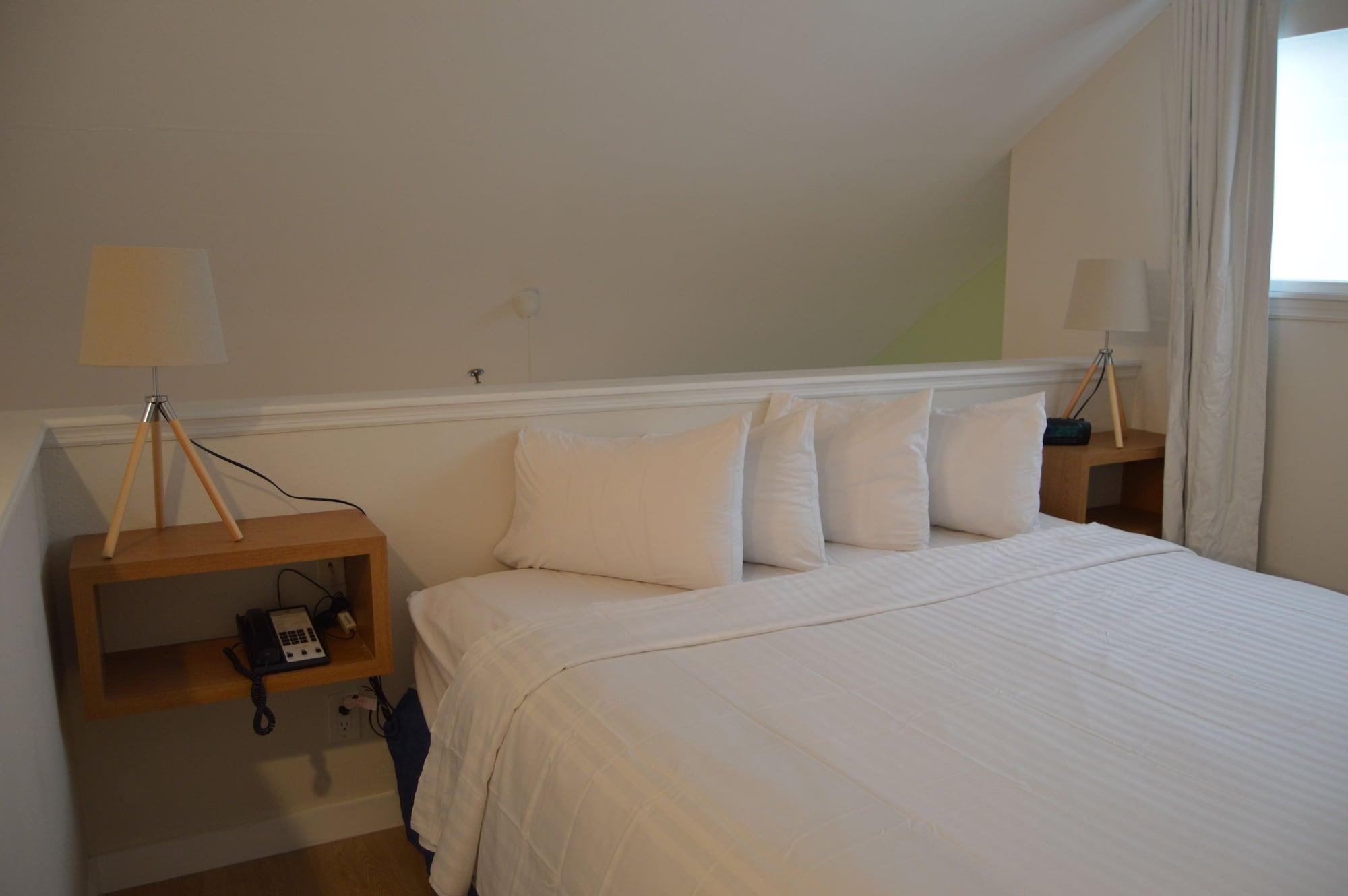 Junior Suite, Studio, Kitchen, Accessible
