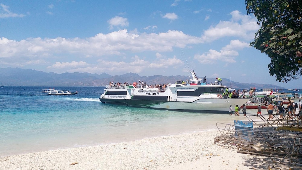 Dejavu Hotel Turtle Beach Gili Trawangan 28/50