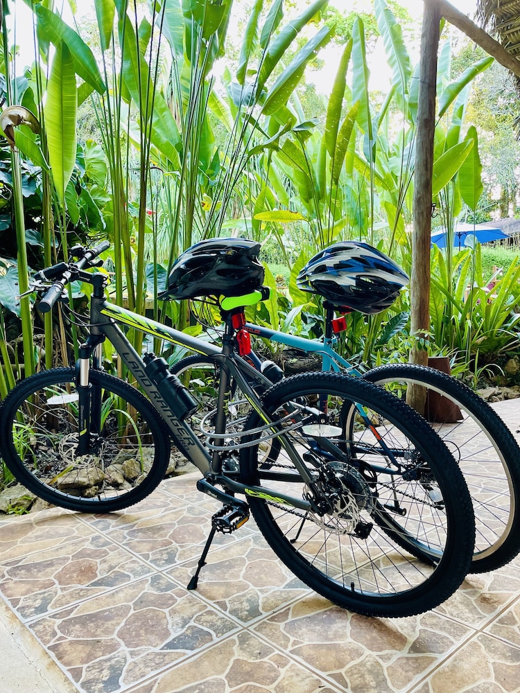 Mariposa Jungle Lodge 42/50
