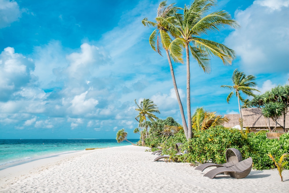 Kudafushi Resort and Spa 46/56