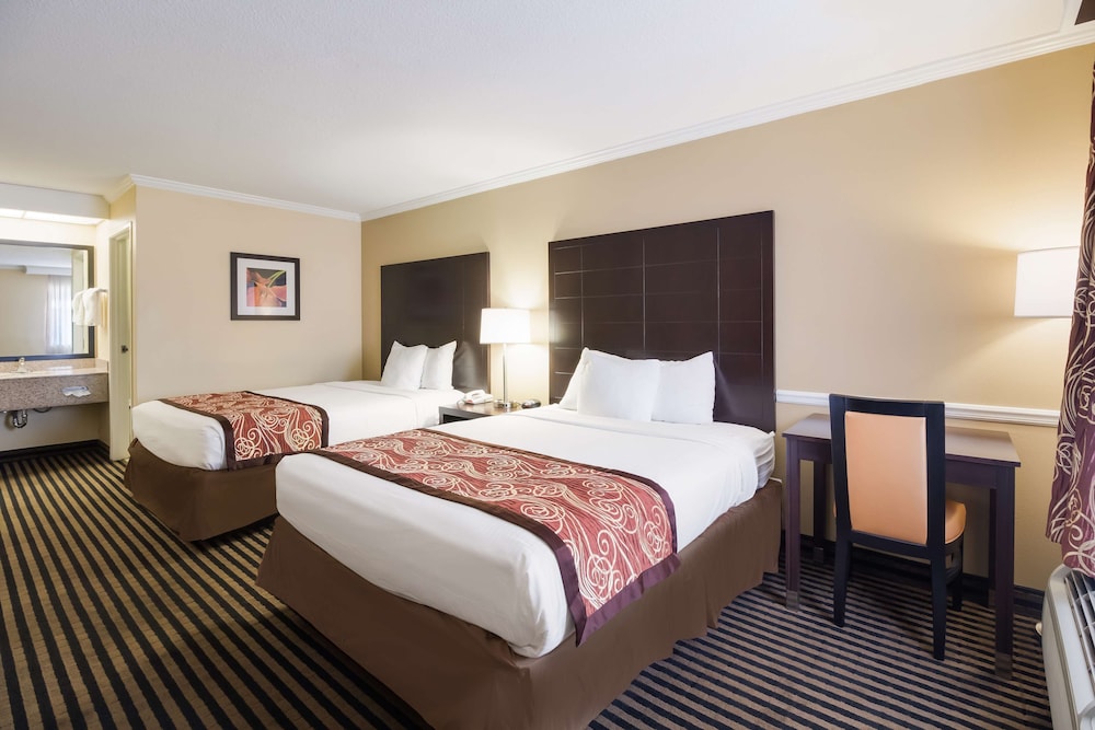 Standard, 2 Double Beds