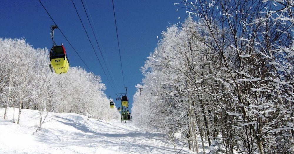 Hotel WBF Grande Asahikawa 44/50