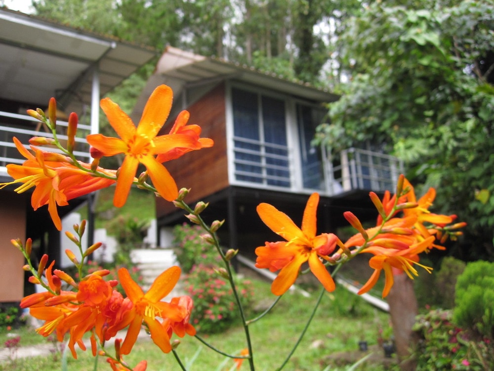 J Residence 8/60