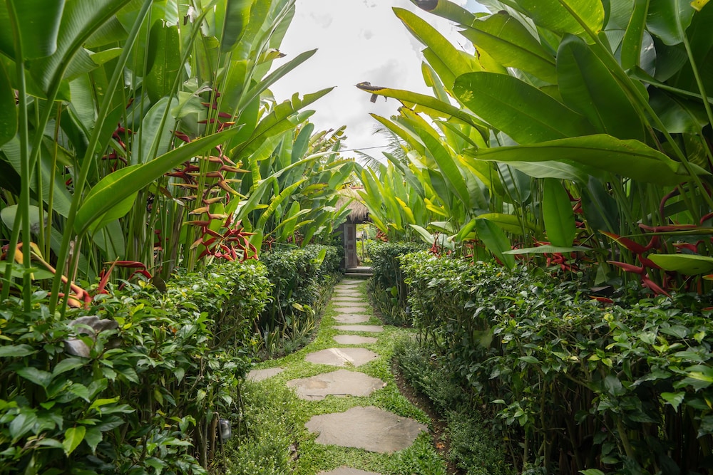 Ubud Art Resort (ex Uma D Mas Villa) 37/48