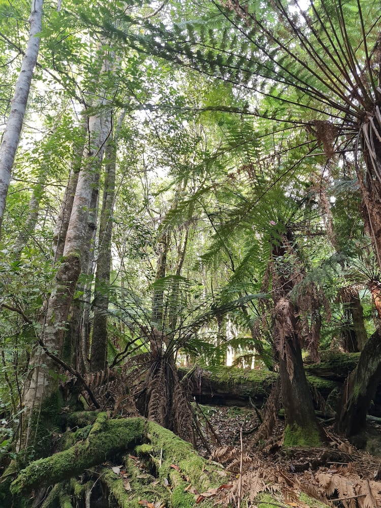 HUON BUSH RETREATS 46/50