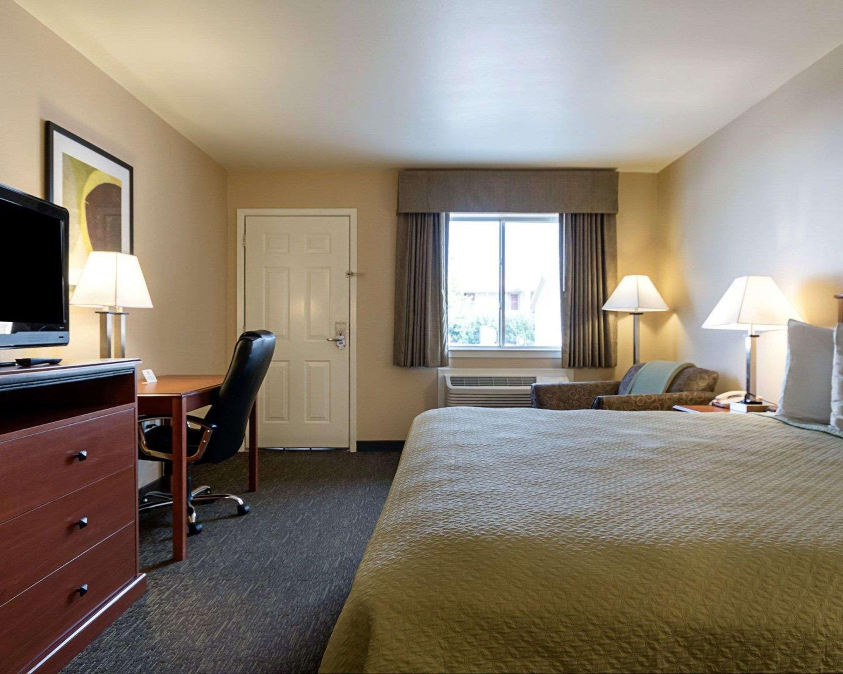 1 King Bed - Non-Smoking, Micfridge