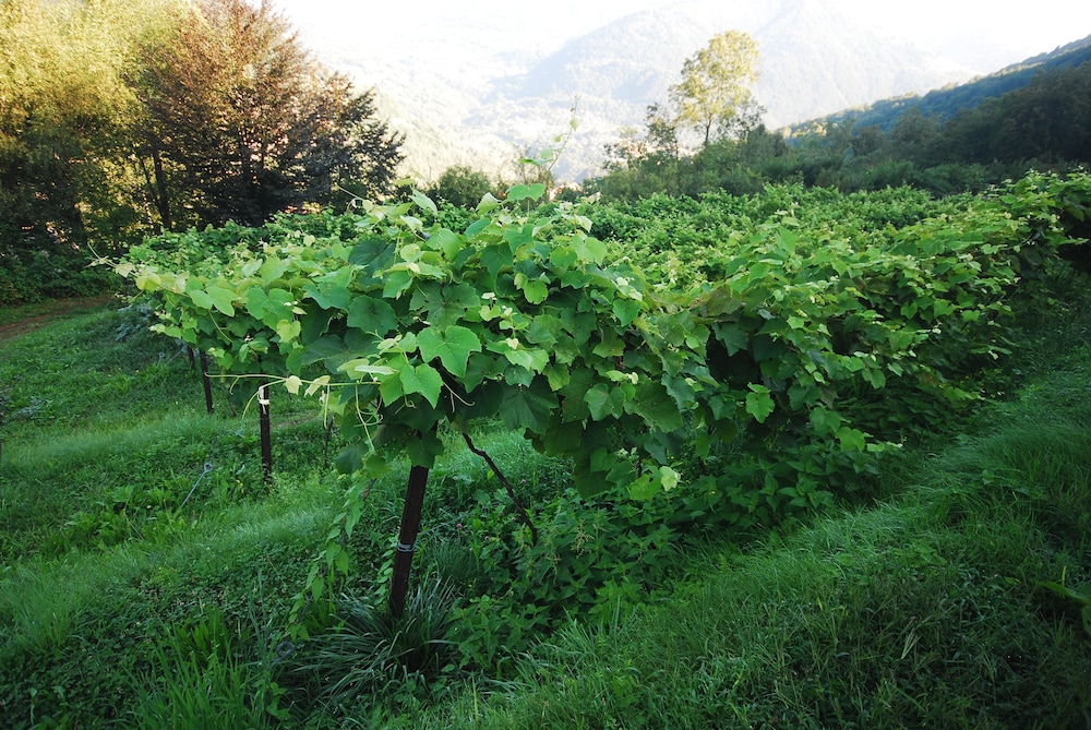 Agriturismo Al Marnich 61/69