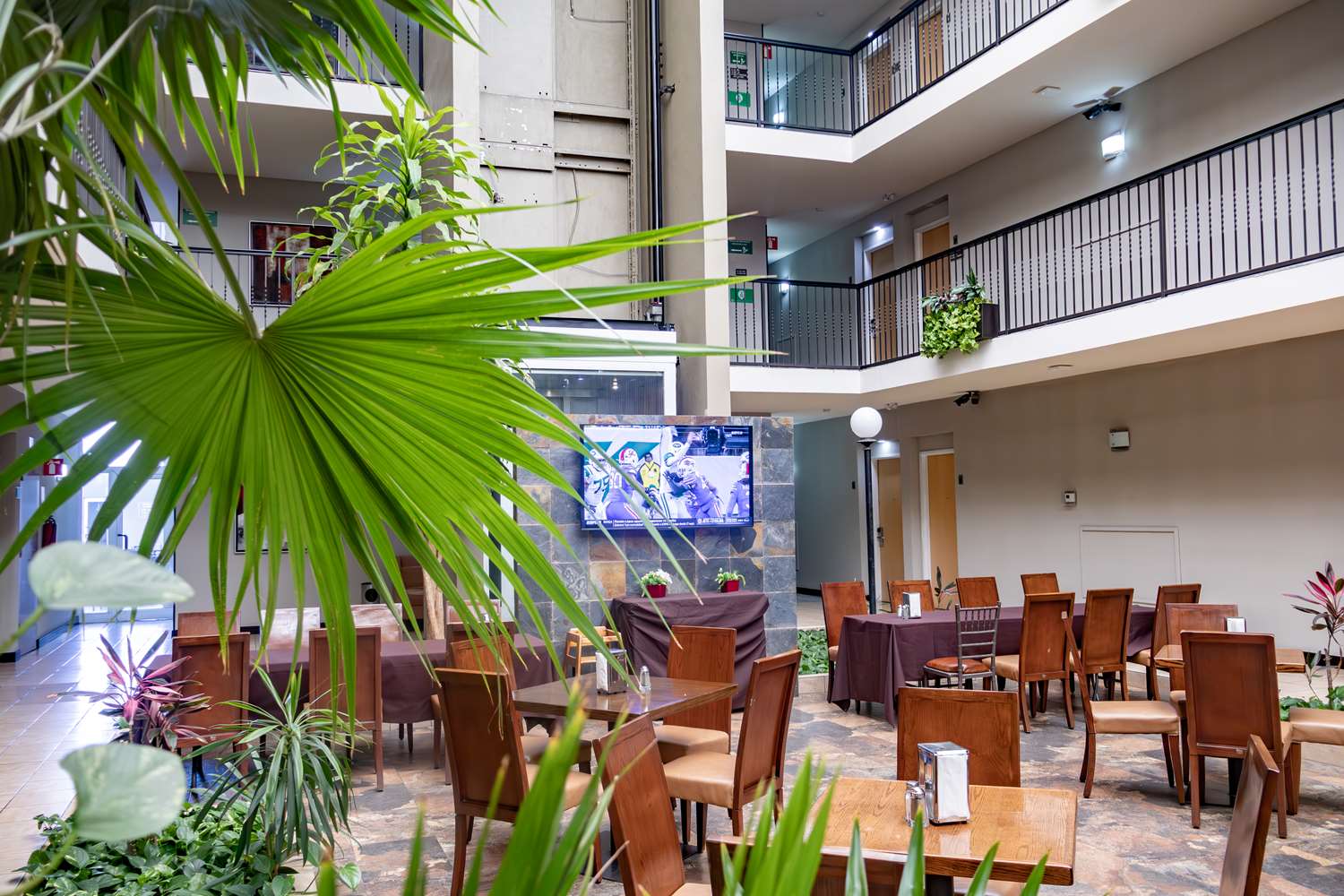 Best Western Plus Monterrey Aeropuerto 36/55