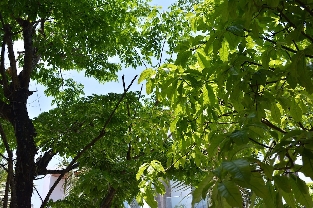 Hoi An Reverie Villas 53/70