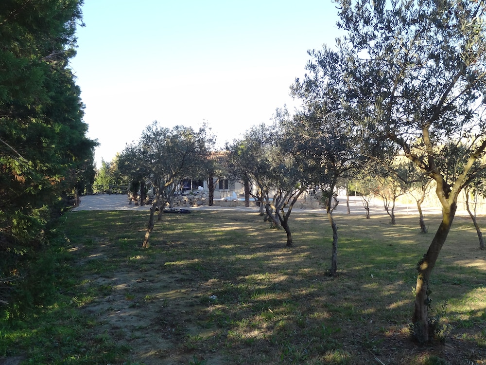 Locations Des Alpilles 34/50