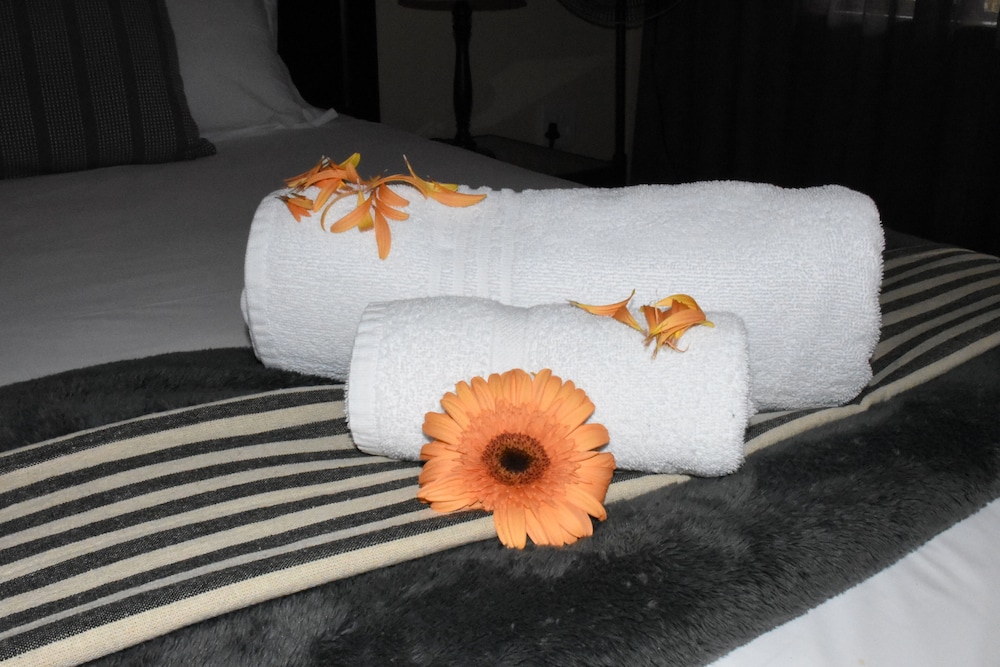 Batter Boys Boutique Hotel 13/50