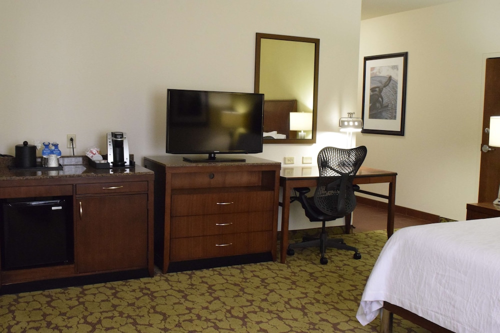 Hilton Garden Inn Rochester Downtown NY 28/66