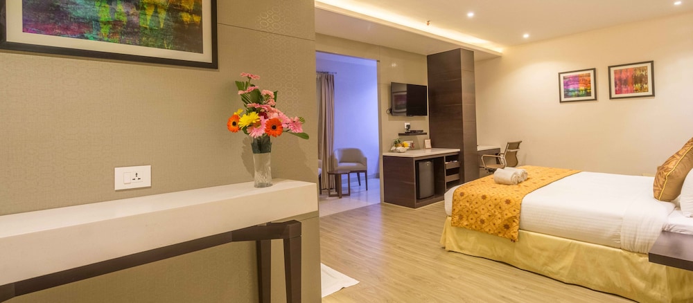 Hotel Palacio 17/50