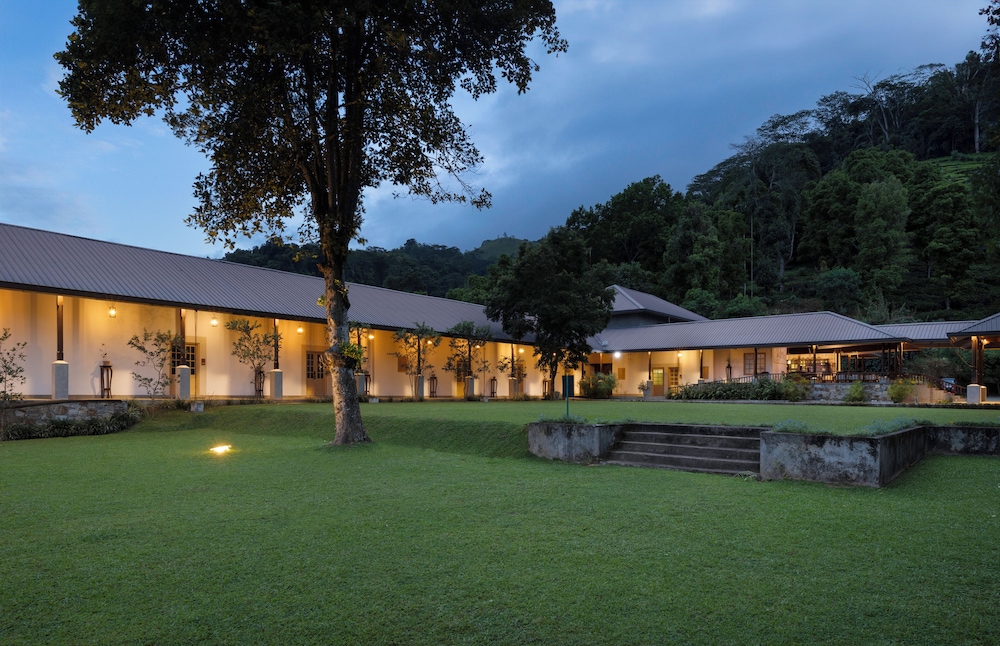 Simpsons Forest Hotel 32/41