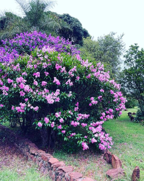 Abloom Bush Lodge & Spa Retreat 37/49