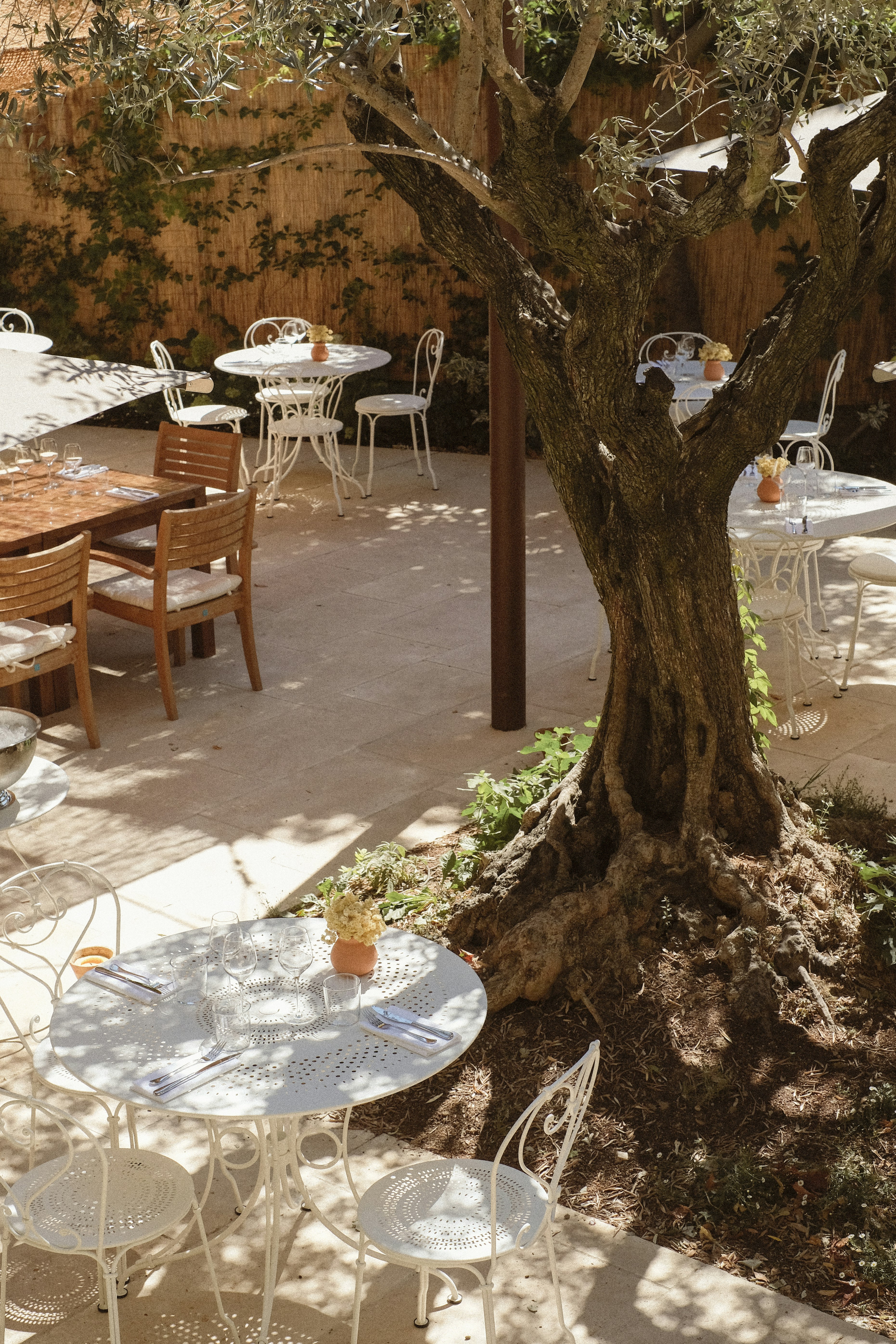 Le Moulin 40/50