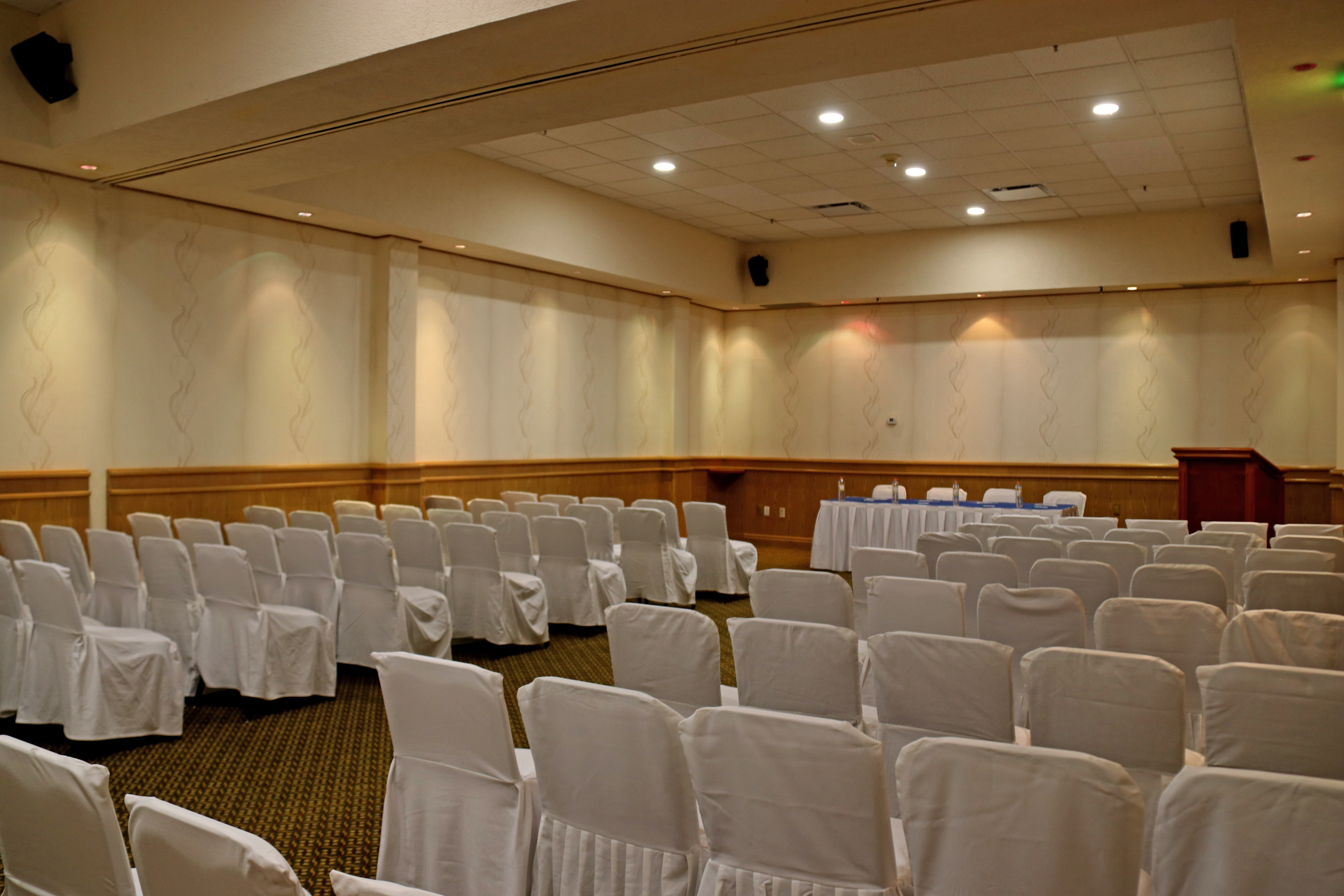 Holiday Inn La Piedad 39/55