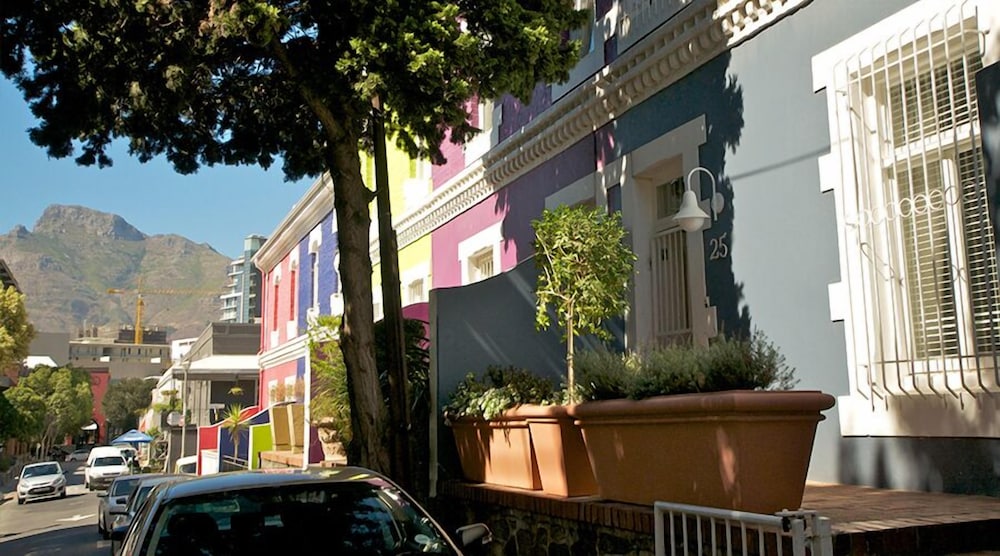 Purple House 38/44