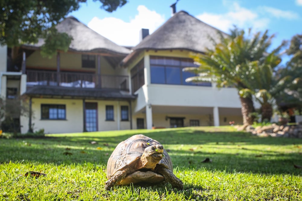 Winelands Villa Guesthouse 26/31