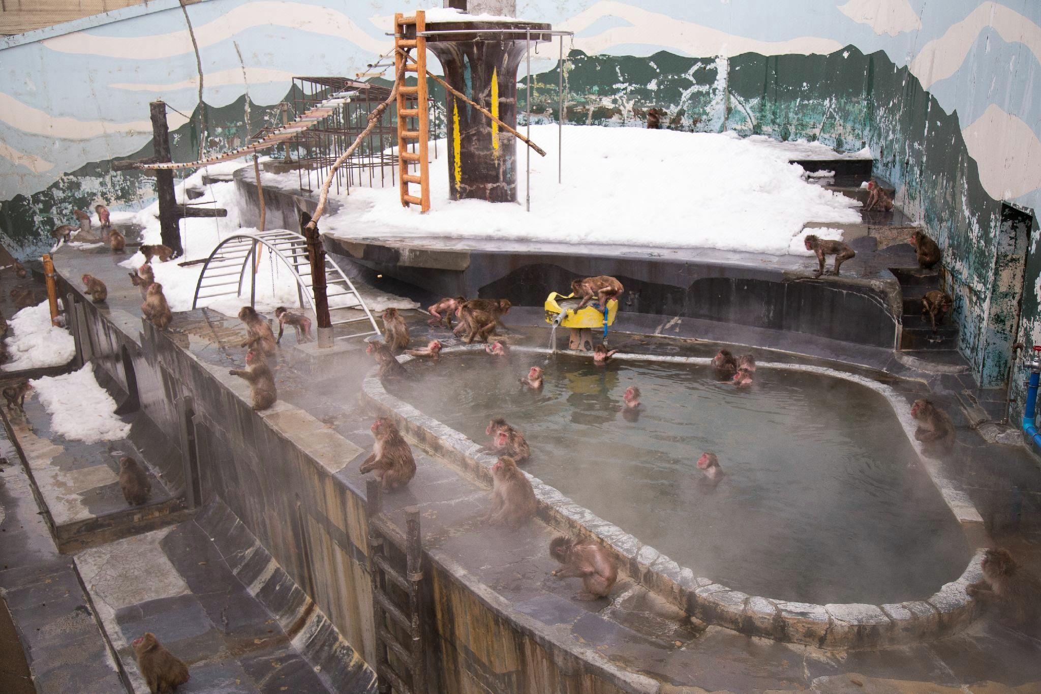 Yunokawa Onsen KKR Hakodate 26/47