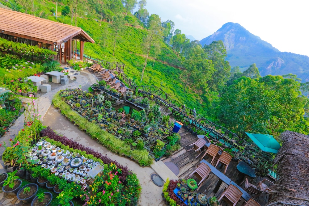 Ella Flower Garden Resort 40/50