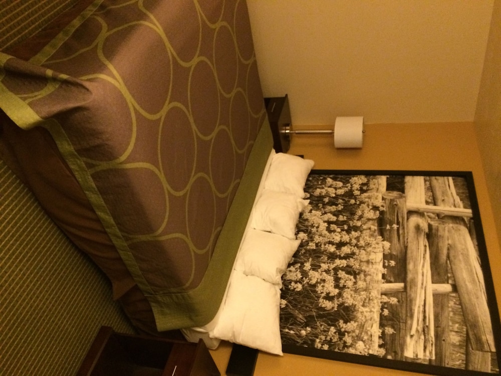 Super 8 By Wyndham Idaho Falls 8/25