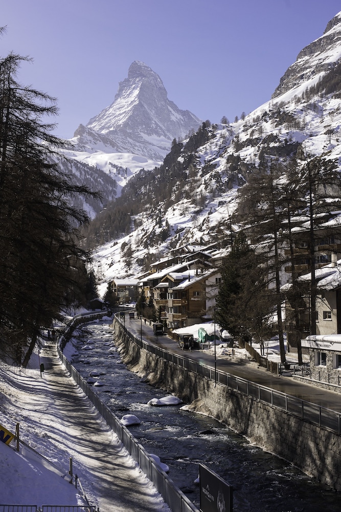Albana Real 52/60