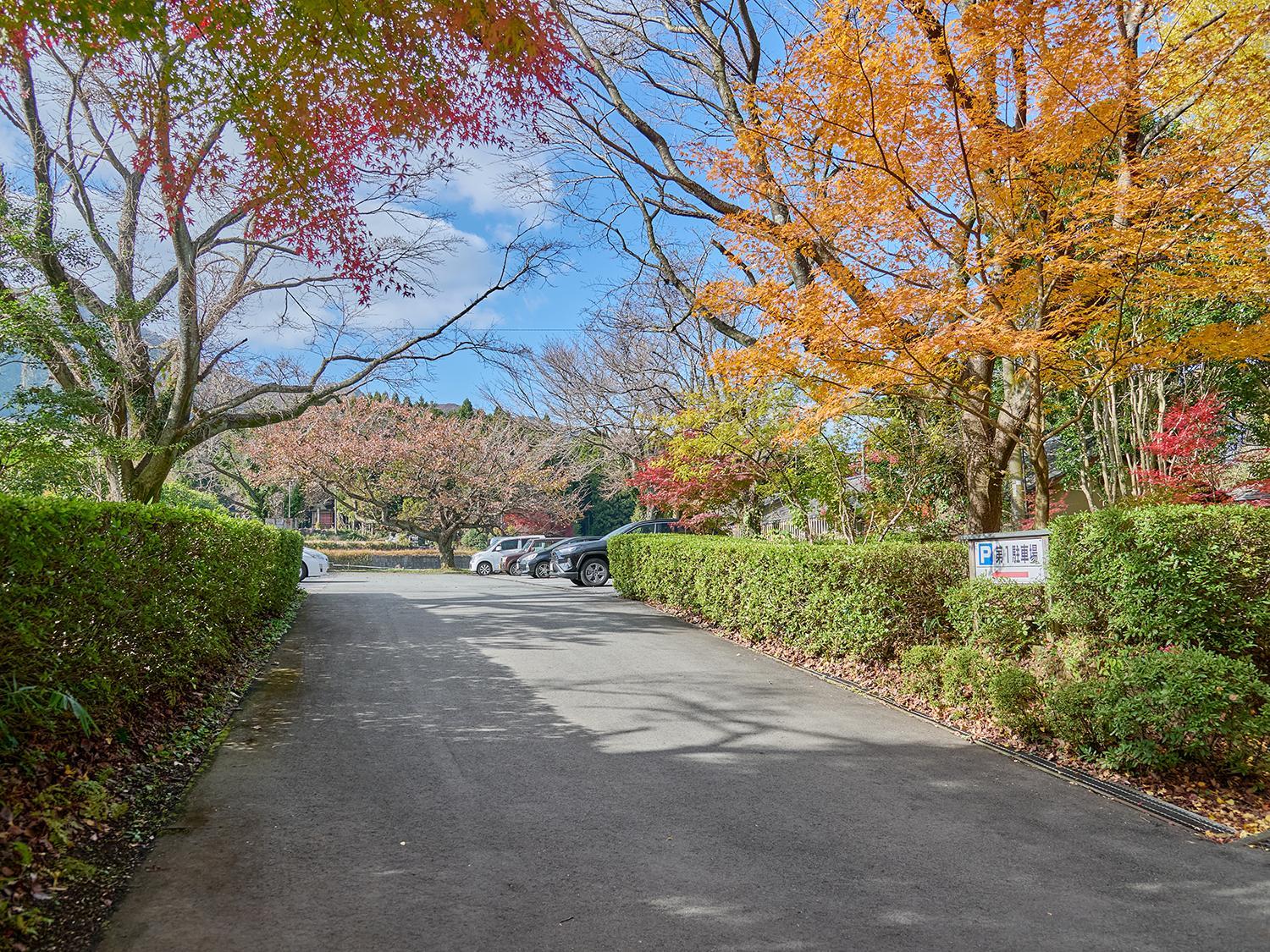 Minamiasa Tawarayama Onsen Ryokan Chikurakutei 50/58