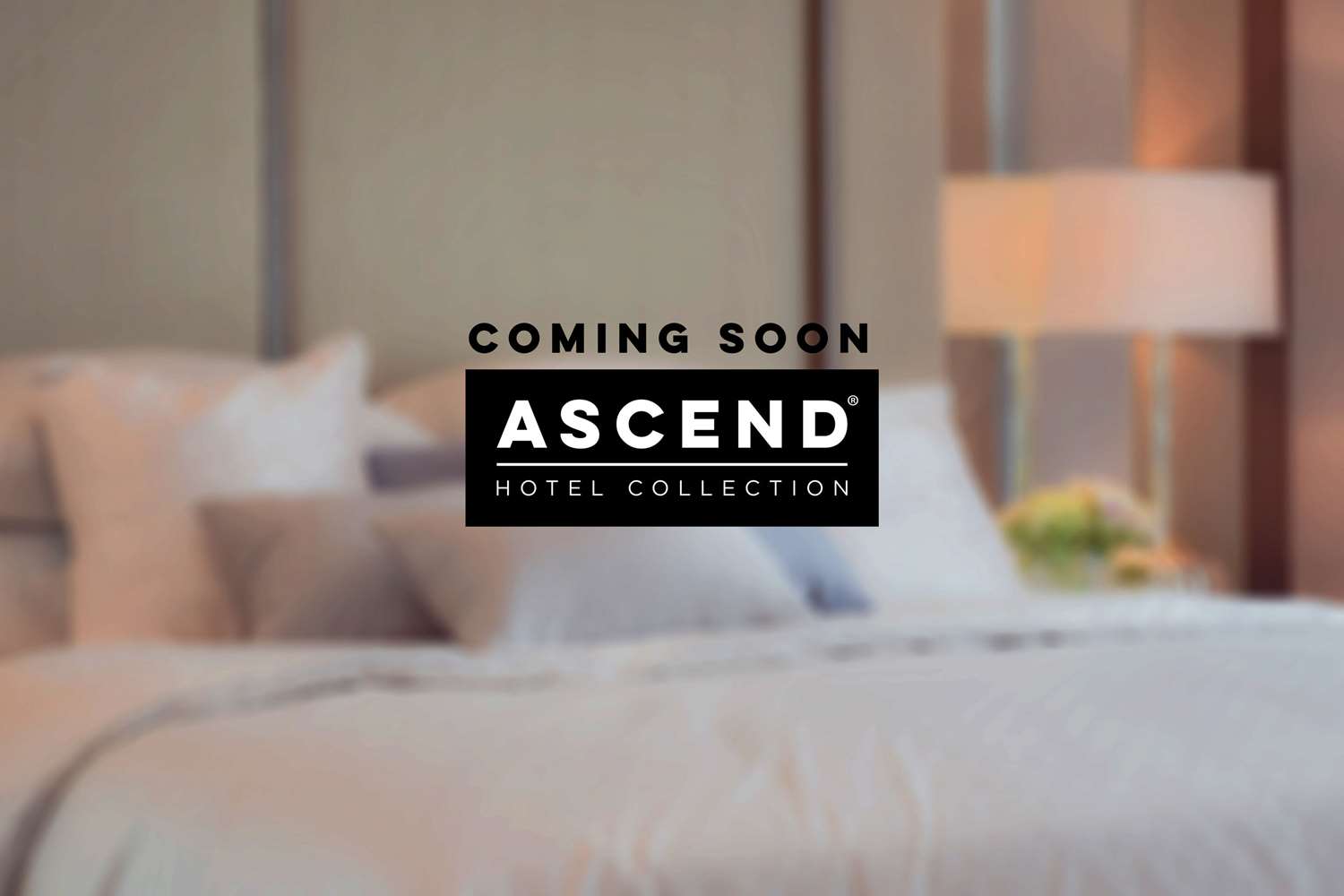 Keene Elm City Hotel, an Ascend Collection Hotel 10/18