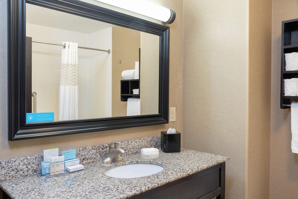 Hampton Inn And Suites Saginaw 18/45