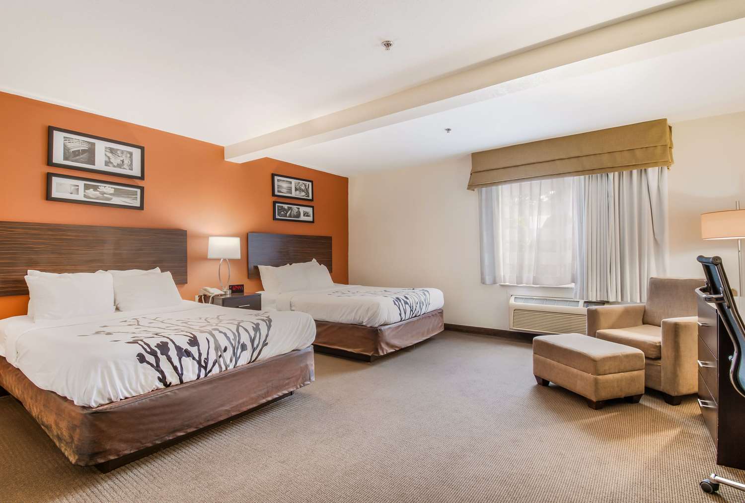 Room, 2 Queen Beds, Accessible