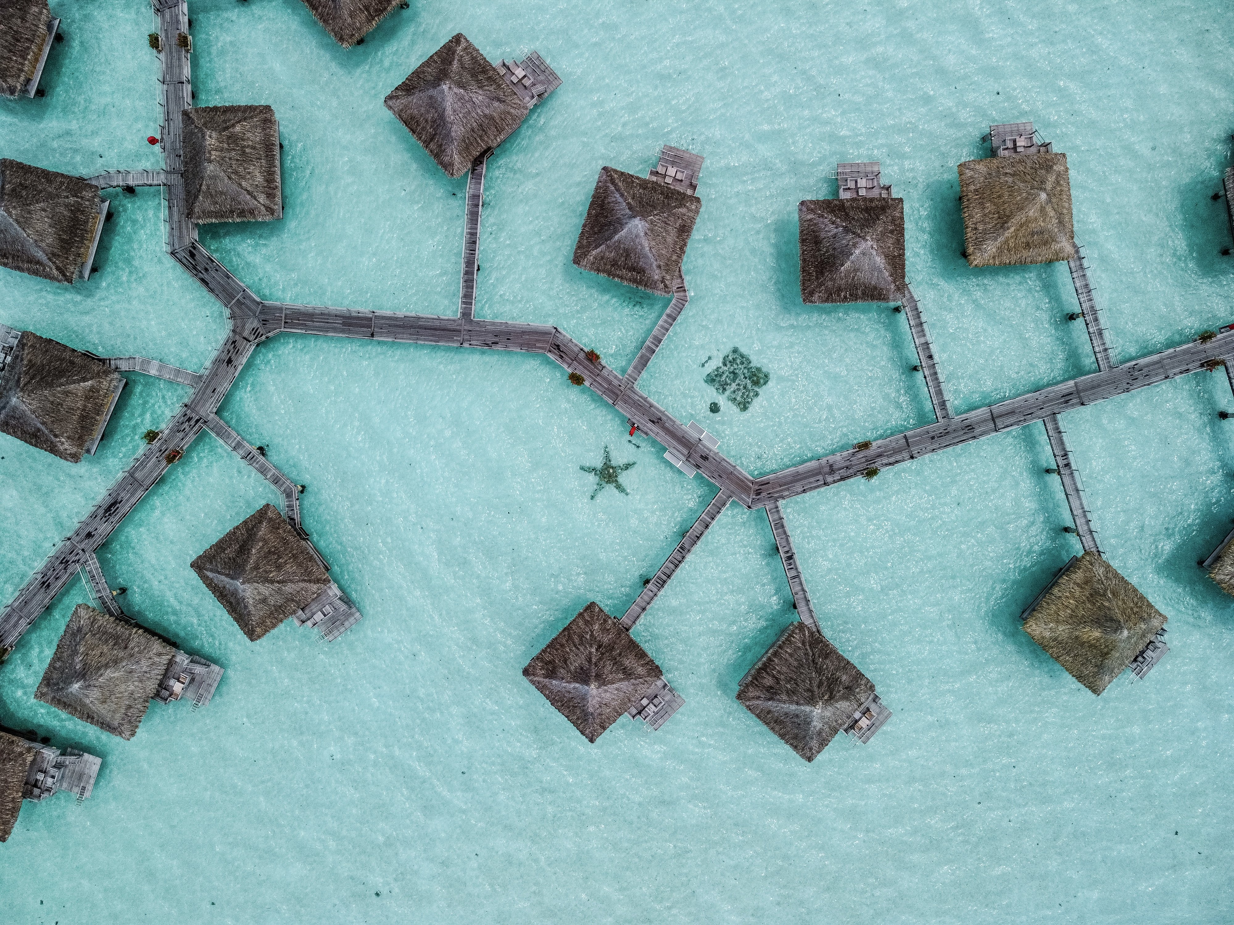 Intercontinental Bora Bora Le Moana Resort 39/81