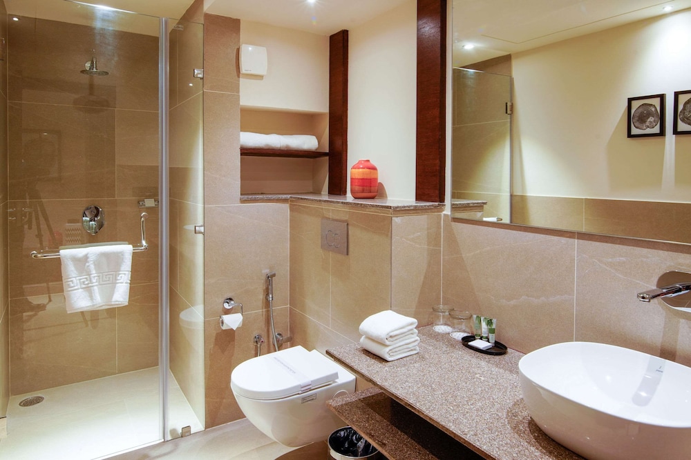 Comfort Inn Dehradun 29/31