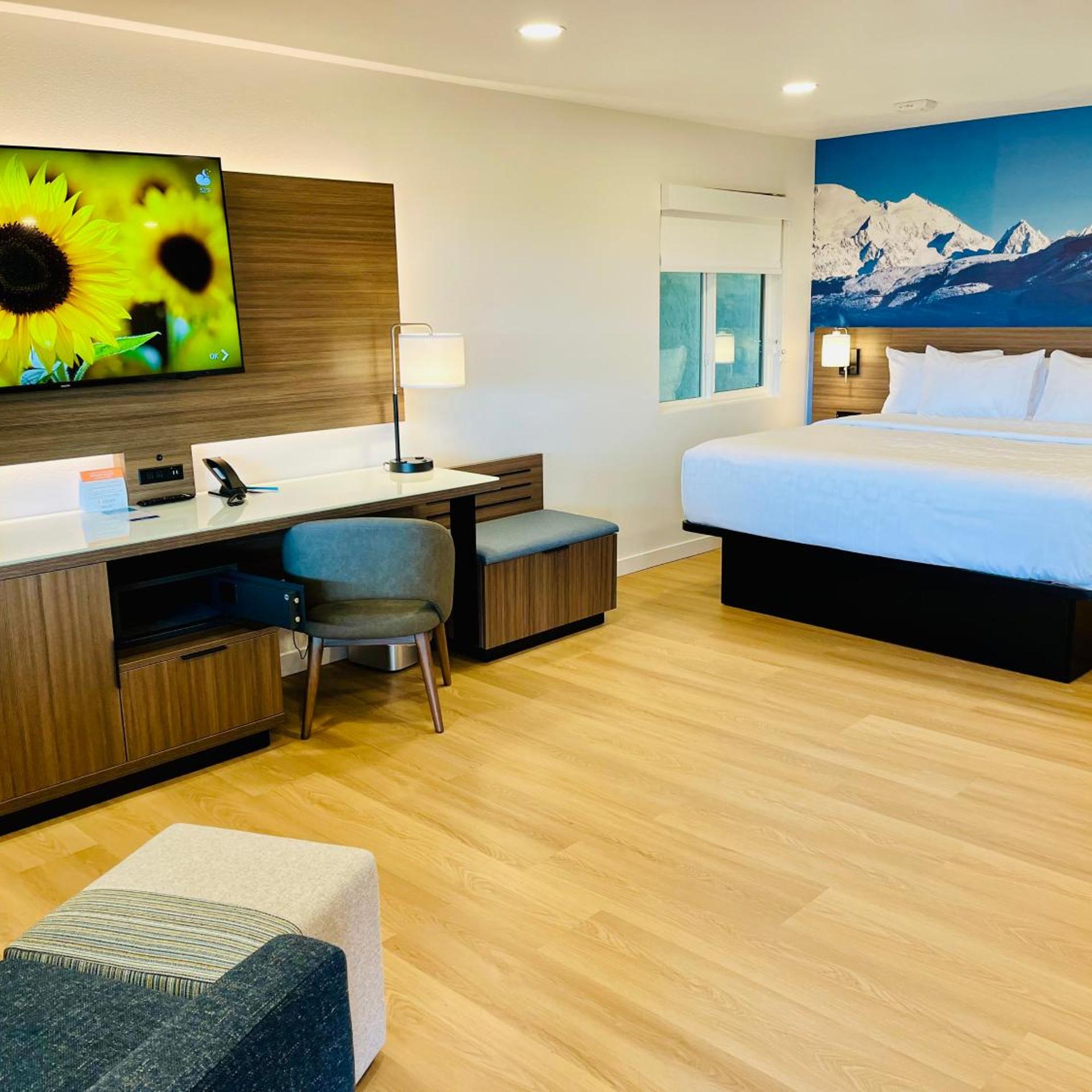 Efficiency, King Bed, Accessible