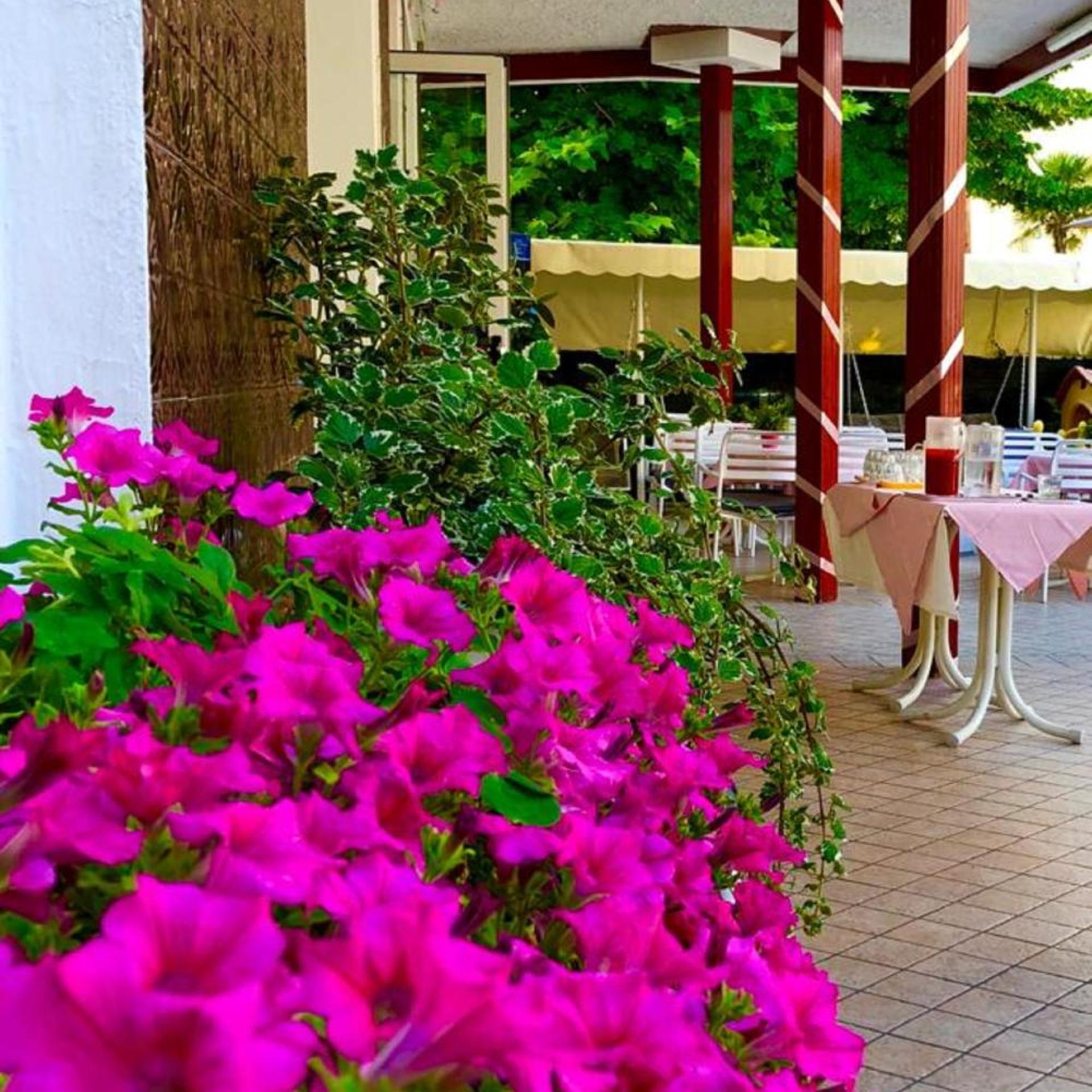 Hotel Alessi Rimini 44/50