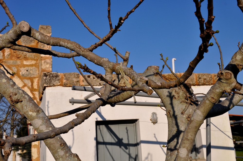 Masseria Uccio 37/41
