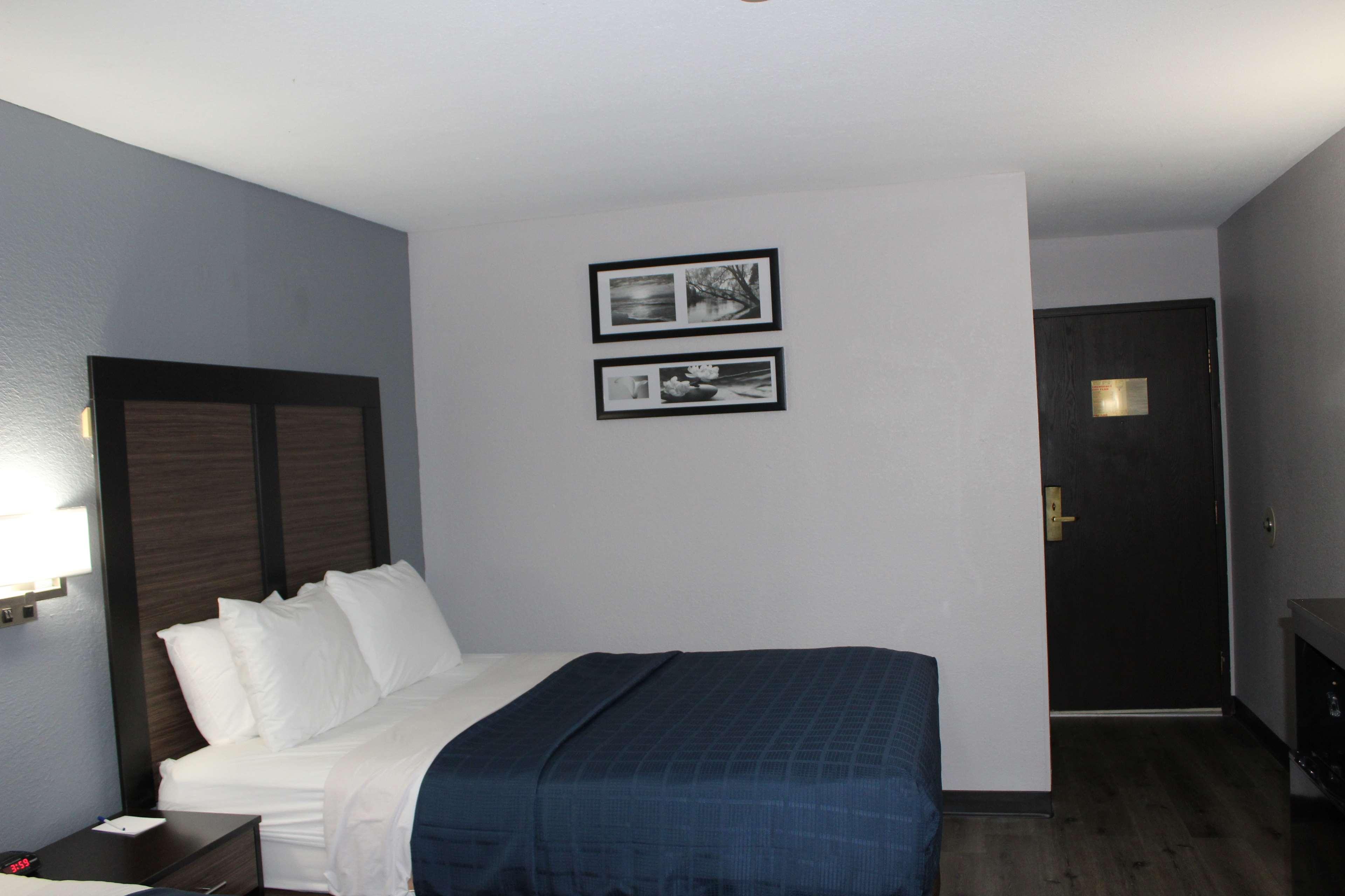 Suite, King Bed