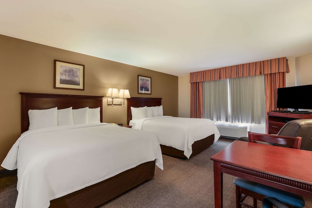 Efficiency, 2 Queen Beds