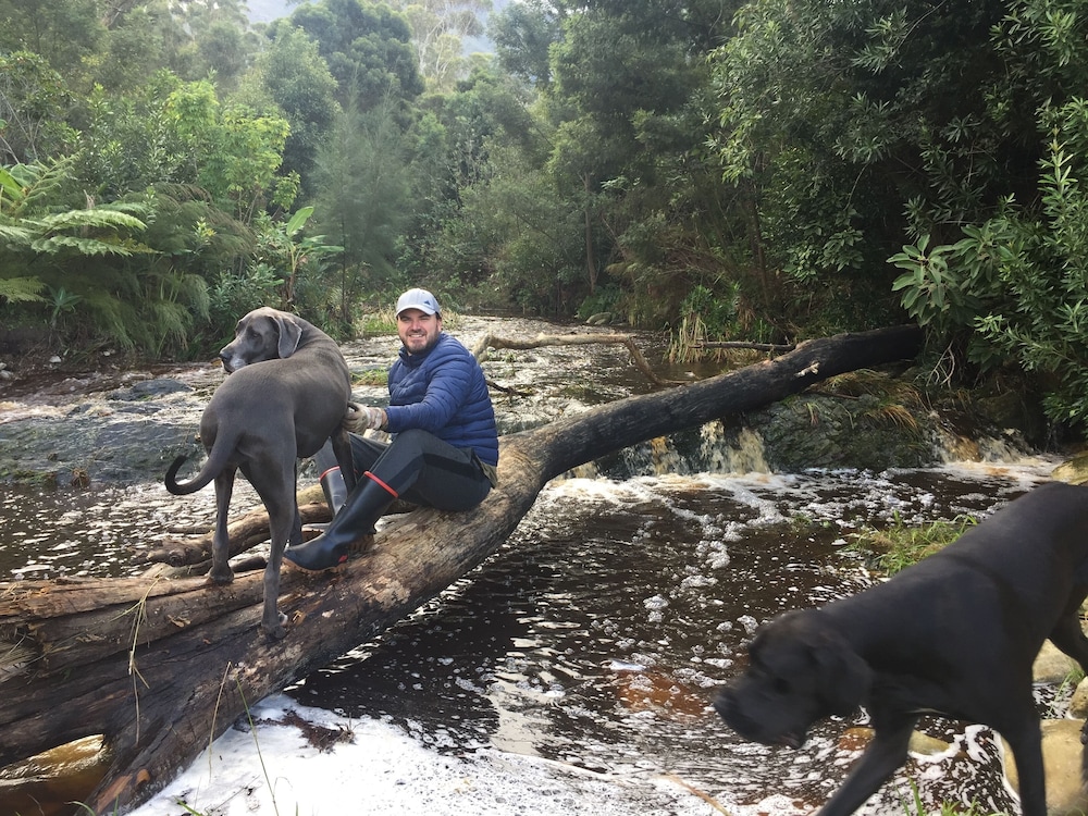 A Riverbed Guesthouse 24/50