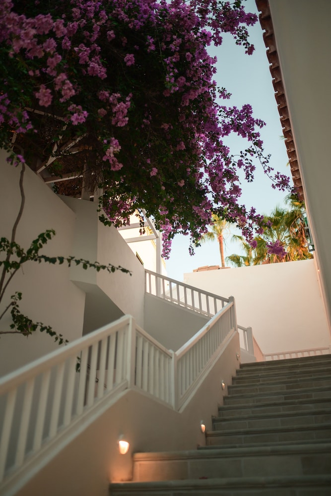 Hotel Estefania Boutique Suites (Adults Only) 58/65