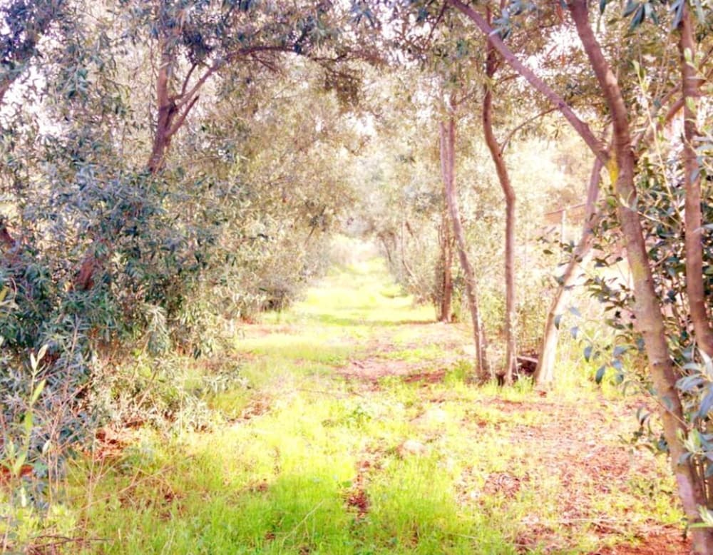 Hacienda Santana 44/50