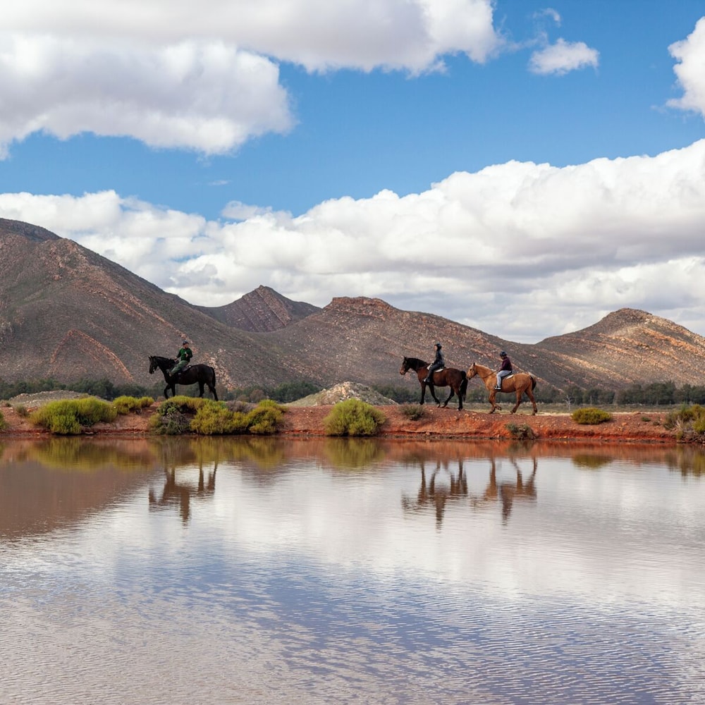 Aquila Private Game Reserve 57/65