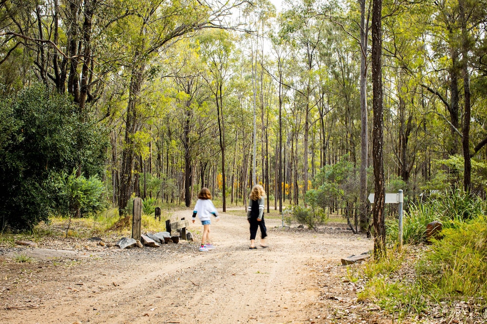 Wild Woods at Pokolbin 33/43