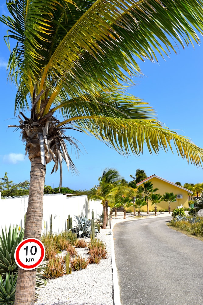 Abc Apartments Curacao 57/60