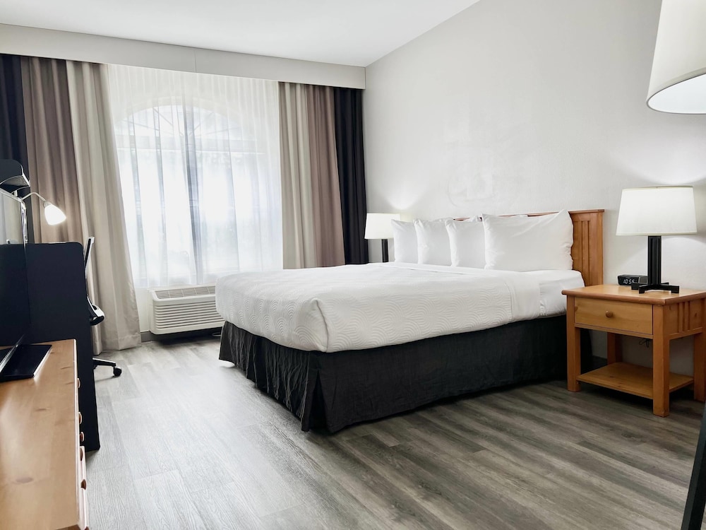 ROOM, KING BED