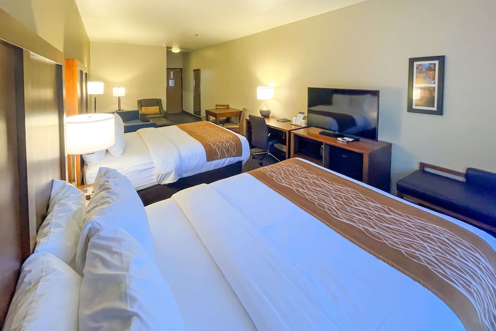 Comfort Inn Midtown 9/50