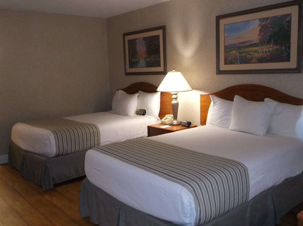Days Inn by Wyndham Doswell - Kings Dominion Area 11/38